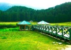 Excursion to Khajjiar – Mini Switzerland of India