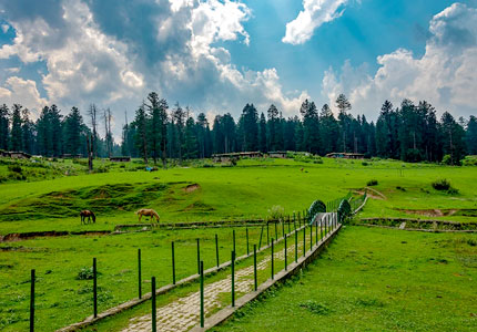 Jammu-Kashmir Nature & Hills Adventure