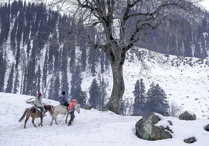 7-Day Kashmir Valley & Hill Station Expedition